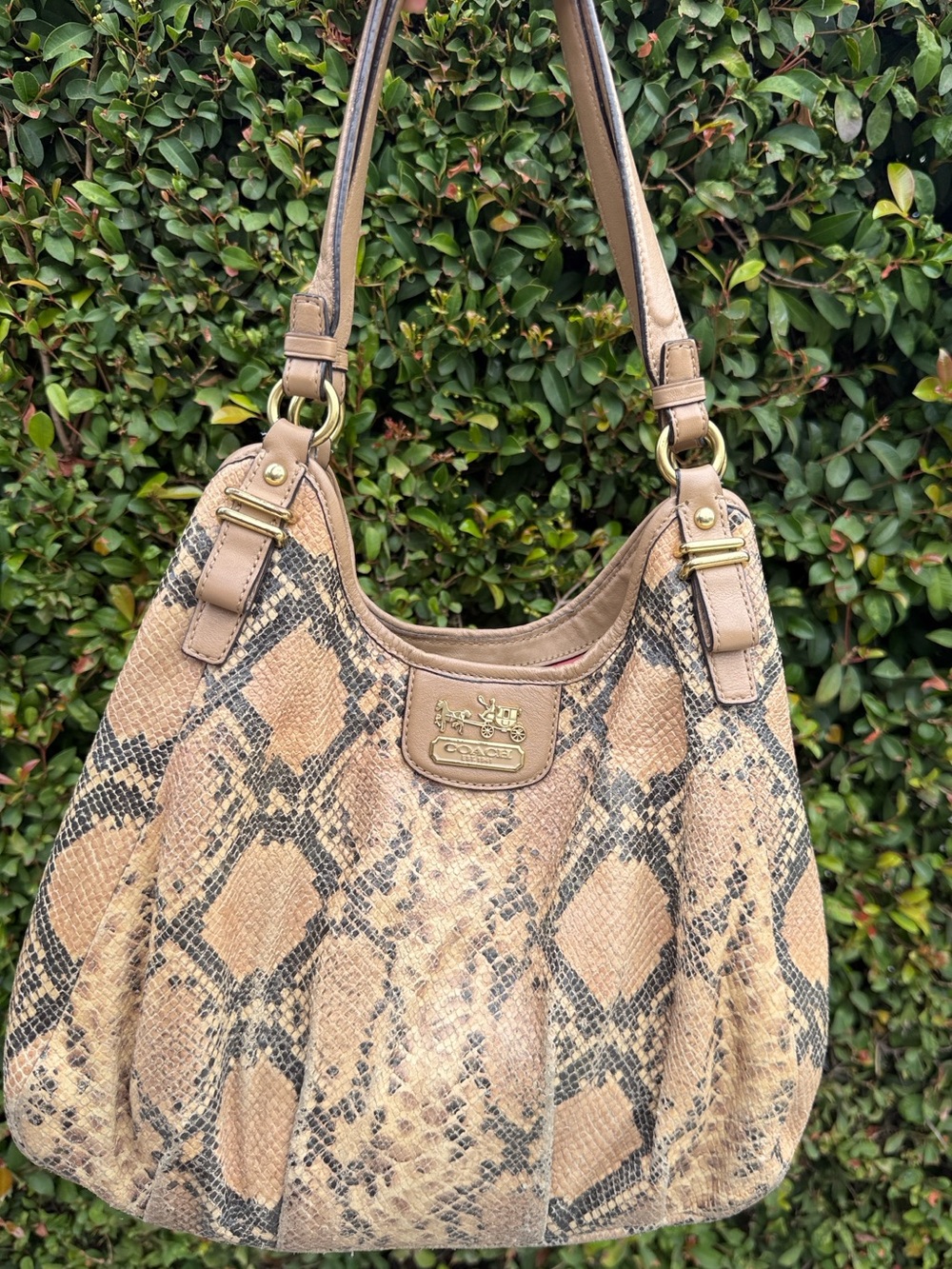 Coach Madison Maggie Beige and Black Python Snakeskin-Print Shoulder Bag
